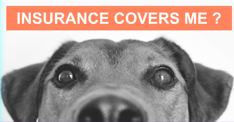Does Insurance Cover Service Dogs?